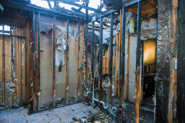Professional Fire Damage Assessment technician working in Centreville, MD